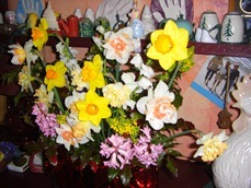 CIMG6285 CIMG6285
